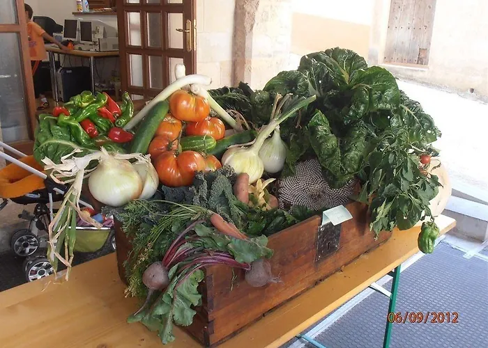 Mirador Del Maestrazgo * Ejulve